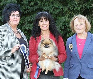 Ms S Smith Sueacres Bettin On Evie with puppy group judge Mrs M M Waddell & J Buttle (Plush Puppy UK)