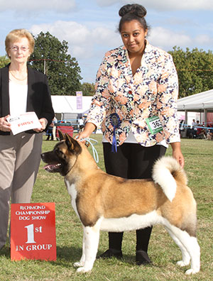 Miss M Rennison Mooncry Fly Me To The Moon Via Zaniah (Imp Cyp) with spbeg group judge Mrs S Marshall