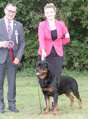 Mrs E Dunhill & Miss M S Dunhill-Hall Ch Cammcastle's Quarterback Fantasa (Imp USA) with group judge Mr K Jarvinen