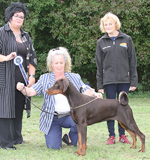Mrs S Mycroft Sant Kreal Jewel For Supeta with puppy group judge Mrs M M Waddell & J Buttle (Plush Puppy UK) 