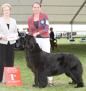 Mrs H Webb New Angels Pretty In Pink (Imp) JW with spbeg judge Mrs S Marshall