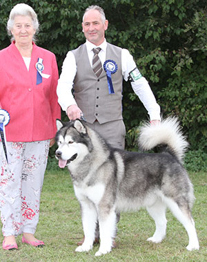 Miss S Wolfe Ch Hawkeye Polarni Usvit (Imp) with veteran group judge Mrs S M Jakeman