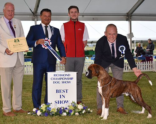 Mr M Griffiths Lanfrese Argento with BIS judge Mr P Harding, Mr N Bryce-Smith & Mr R Furnell (Royal Canin) 