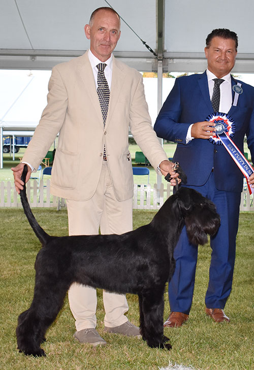 Mr & Mrs L Cullen Philoma Leading Lady with BPIS judge Mr P Harding 