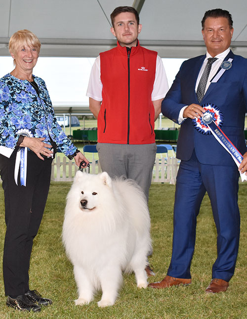 Mrs V Freer & Mrs S Smith Ch Nikara Diamond Dancer JW with BVIS judge Mr P Harding & Mr R Furnell (Royal Canin)