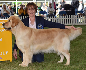 Miss P Hill & Mr D Smith Sh Ch Megarvey Once Upon A Time JW