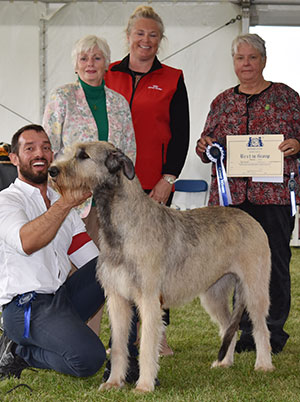 Mr F Maison & Mr F Freitas Lambada Du Grand Chien De Culann with group judge M A E Persson, Mrs M Bryce-Smith & T Findlay (Royal Canin)