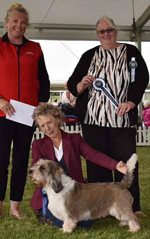 Mrs J Brown Ch Soletrader Louis Vuitton with veteran group judge V Cox & T Findlay (Royal Canin)