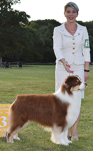 Mrs K Kirtley & Mrs D Erdesz AKC ASCA Ch Wyndstar Magic Marker 