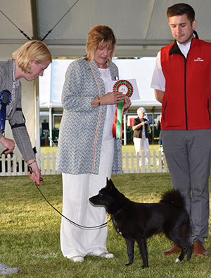 Mr & Mrs A L Strong Leggatts Dancing Queen At Draccus with spbeg judge Mrs T Jackson & Mr R Furnell (Royal Canin) 