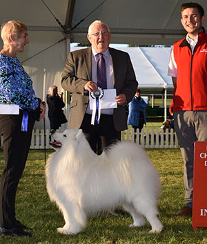 Mrs V Freer & Mrs S Smith Ch Nikara Diamond Dancer JW with veteran group judge Mr M Armstrong & Mr R Furnell (Royal Canin)