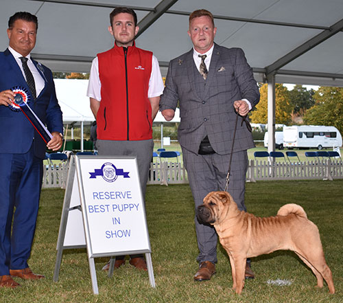 Mr & Mrs A D & H K Morris Ashowai One Moment In Time with BPIS judge Mr P Harding & Mr R Furnell (Royal Canin)