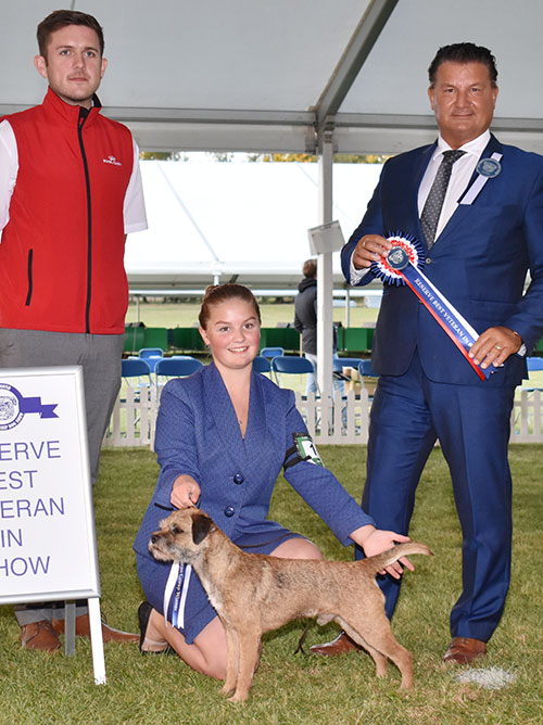 Mr R Goddard & Miss L Goddard Ch Kgills King Of Swing At Awbrooksky with BVIS judge Mr P Harding & Mr R Furnell (Ropyal Canin)