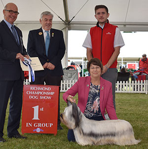 Mrs J Curtis Ch Verumamicus Aurora Of Brakemill JW with group judge Mr G Corish & Mr R Furnell (Royal Canin)