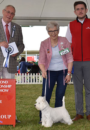 Mrs K & Mr J Fox Hillsted Sweet Destiny with puppy group judge Mr G Hill & Mr R Furnell (Royal Canin)