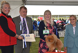 Mrs A Cawthera-Purdy Ch Reta Hugo's There Lireva with group judge Mr S Randle Goodwin, Mrs S Garner (Vice President) & T Findlay (Royal Canin) 