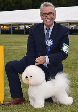 Messrs M Coad & R Smith Ch Regina Bichon You Rock My World at Pamplona