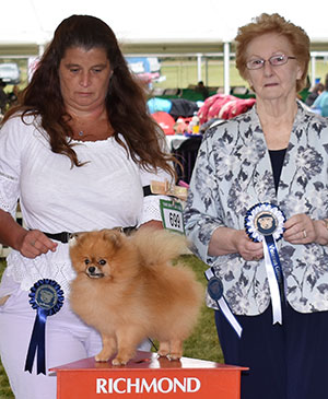 Misses M & M Hills Ch Casarow's Monty Python JW Sh CM with veteran group judge Mrs S M Marshall