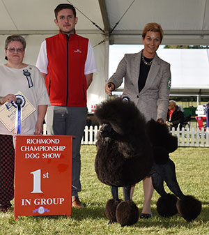 Mrs L Campbell US Ch Dawin All The Buzz with group judge M Reed-Peck & Mr R Furnell (Royal Canin)