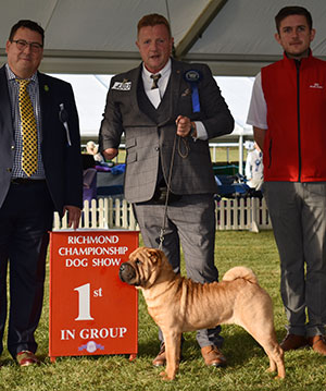 Mr & Mrs A D & H K Morris Ashowai One Moment In Time with puppy group judge Mr G Haran & Mr R Furnell (Royal Canin)