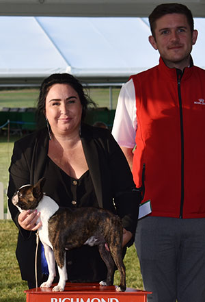 Mrs R Cassidy Roterr Griff Bismarck At Chinaskys (Imp Rus) with Mr R Furnell (Royal Canin)