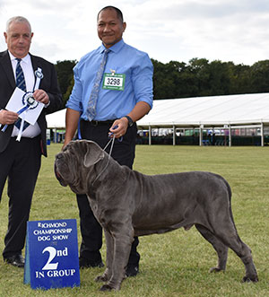 Mr M Mafi Tommaso Goffredo's Taro with group judge Mr S Luxmoore