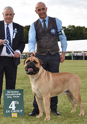 Mr P J Myres & Miss D Morgan Ch Optimus Daffyd JW with group judge Mr S Luxmoore