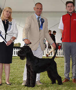 Mr & Mrs L Cullen Philoma Leading Lady with puupy group judge C Friend-Rees & Mr R Furnell (Royal Canin) 