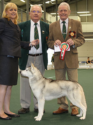 Mr W Hawkins & Mrs H Jones Ch Amical Channah JW with group judge Mr H Richards & Mr T M Jones (Committee)