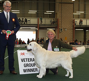 Ms S Stevens & Mr M Hadden Sh Ch Ir Ch Gunhills January Master JW Sh CM with group judge Mr C Bexon