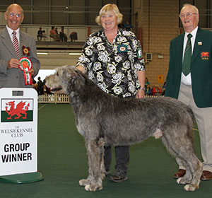 Mrs C Goodson Ch Moralach The Gambling Man JW with group judge Mr G Corish