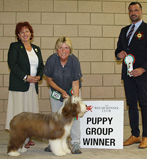 Miss M J Baker & Miss R Van De Hoef Malandex Xquisit Diamond with puppy group judge Mr M Cocozza & Miss A Rees (Committee) 