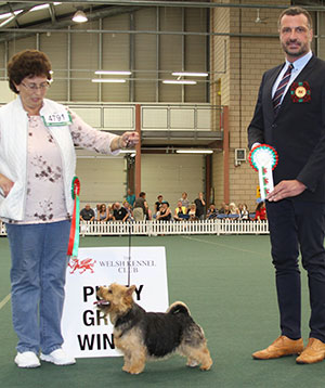 Mrs L A Crawley Ragus Hand In Glove with puppy group judge Mr M Cocozza