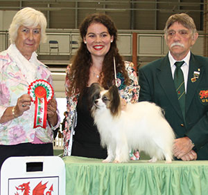 Mrs K Stewart & Miss K Stewart-Knight Tussalud Story Tales TAF with group judge Mrs A Oliver & Mr T M Evans (Assistant Show Manager)