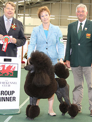 Ms C Sandell SU Ch Da Maya Huffish Copyright Woman with group judge Mr D Ericsson & Mr S Jones (Committee)