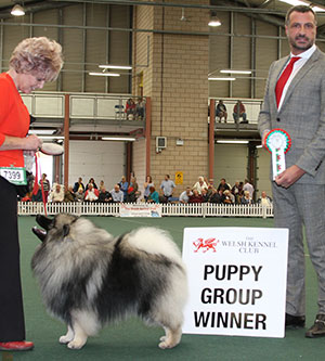 J Sharp-Bale, J Miles & V Gatt Samkees With Love To Neradmik with puppy group judge Mr M Cocozza