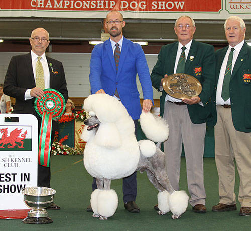 M Nilsson Afterglow Tyrone Power with BIS judge Dr G Bodegard, Mr G Hill (Secretary) & Mr A Fall (Chairman) 