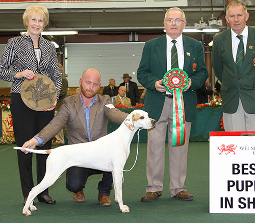 Mrs A & Miss A Siddle Wilchrimane Allure with BPIS judge Mrs A Macdonald, Mr T M Jones (Committee) & Mr S Jones (Committee) 