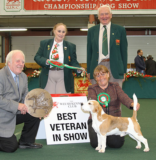 Miss S Parker & Mr G Stevena Ch & Ger Ch Serenaker Devil In Disguise JW with BVIS judge Mr J Luscott, Miss J Davies (Committee) & Mr G Griffith 