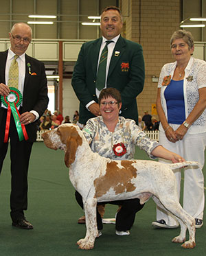 Mrs O Nagy-Kovencz Multi Ch Sh Ch Polcevera's Ercole Sh.CM with group judge Mr G Bodegard & Mr R Stafford (Committee) 