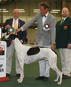 Ms S Horakova Multi Ch Jet's Man In The Moon with group judge Dr G Bodegard & Mr K Rees (Committee)