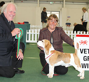 Miss S Parker & Mr G Stevena Ch & Ger Ch Serenaker Devil In Disguise JW with veteran group judge Mr J Luscott