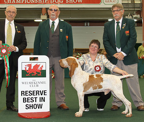 Mrs O Nagy-Kovencz Multi Ch Sh Ch Polcevera's Ercole Sh.CM with BIS judge Dr G Bodegard, Mr T M Evans (Asst Show Manager) & Mr I G Williams 