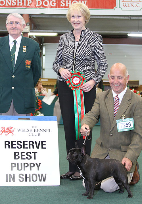 Messrs Coad & Corish Davlokkes L'Oreal Du Paris NAF (Imp) with BPIS judge Mrs A Macdonald & Mr J Thomas (Committee) 