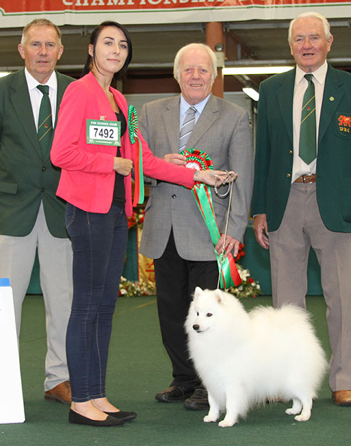 Mrs A Bowen & Miss K Bradley Ch Kumiko Mizuiro with BVIS judge Mr J Luscott, Mr W Howells (Committee) & Mr G Griffith (Committee) 