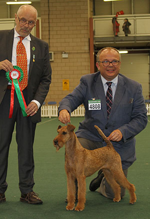 Mr & Mrs A & J Barker & Mr J Averis US Irvonhill Leave It To Me with group judge Dr G Bodegard 