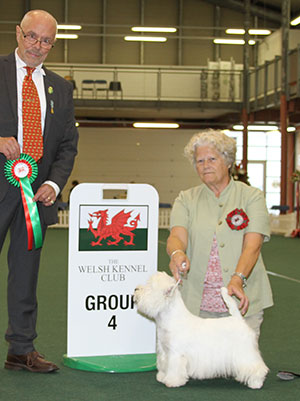 Mrs S Fryer Int Ch Hopecharm Prince Harry Re (Imp) with group judge Dr G Bodegard