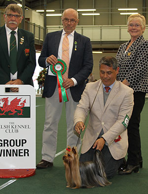 Mrs W F White-Thomas Estugo Amien Alegria At Wenwyte (Imp) with group judge Dr D Bodegard & Mr T M Evans (Asst Show Manager)