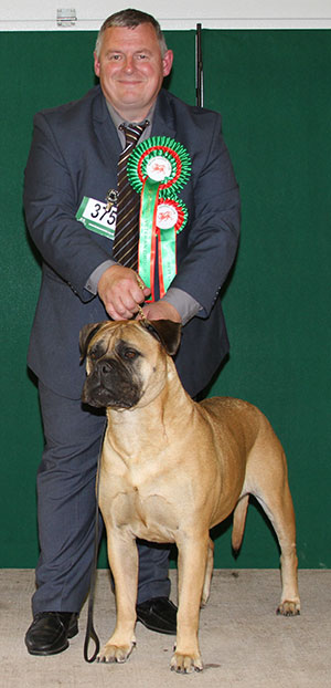 Mr C S & Mrs S J Roberts Int Ch Lux Ch Malta Ch Joybull Limited Edition