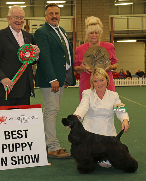 Miss S Crummy, Mr T Atkinson & Mr A Yau Afterglow Life Of Brian with BPIS judge Mr D Smith & Mr R Stafford (Committee)